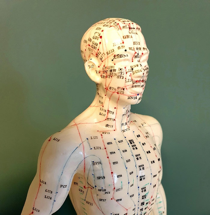 Acupunctuurmodel